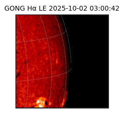 gong - 2025-10-02T03:00:42