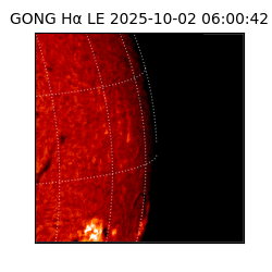 gong - 2025-10-02T06:00:42
