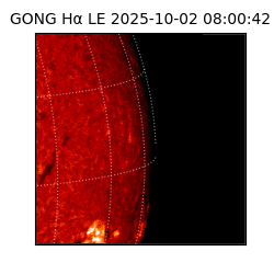 gong - 2025-10-02T08:00:42