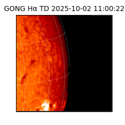 gong - 2025-10-02T11:00:22