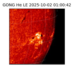 gong - 2025-10-02T01:00:42