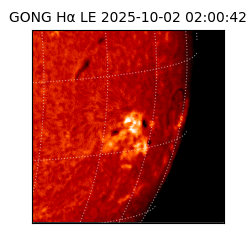 gong - 2025-10-02T02:00:42