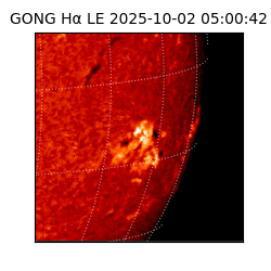 gong - 2025-10-02T05:00:42