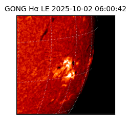 gong - 2025-10-02T06:00:42