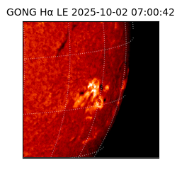 gong - 2025-10-02T07:00:42