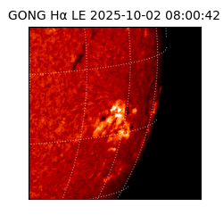 gong - 2025-10-02T08:00:42