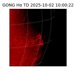 gong - 2025-10-02T10:00:22