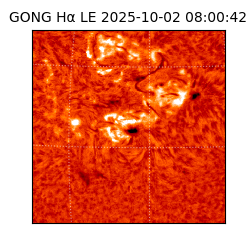 gong - 2025-10-02T08:00:42