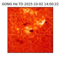 gong - 2025-10-02T14:00:22