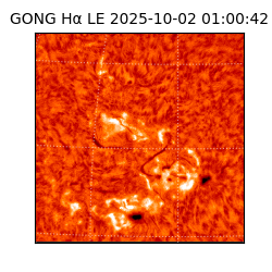 gong - 2025-10-02T01:00:42