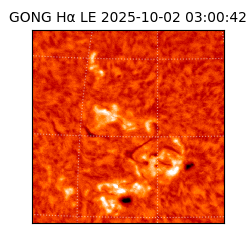 gong - 2025-10-02T03:00:42