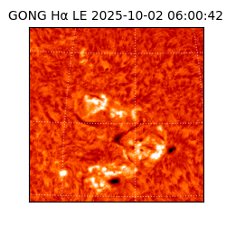 gong - 2025-10-02T06:00:42