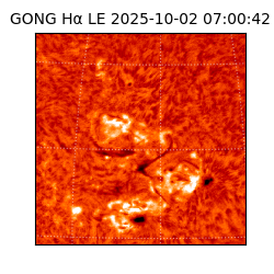 gong - 2025-10-02T07:00:42