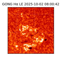 gong - 2025-10-02T08:00:42