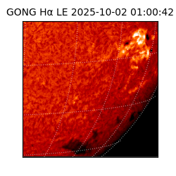 gong - 2025-10-02T01:00:42