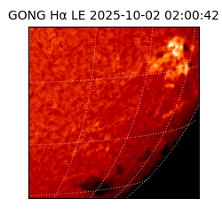 gong - 2025-10-02T02:00:42