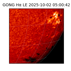 gong - 2025-10-02T05:00:42