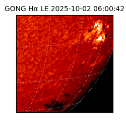 gong - 2025-10-02T06:00:42