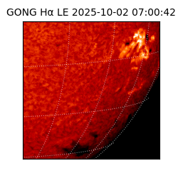 gong - 2025-10-02T07:00:42