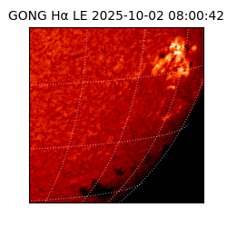 gong - 2025-10-02T08:00:42