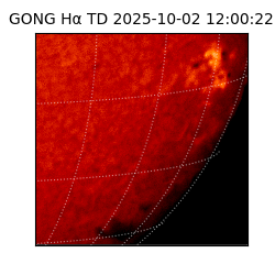 gong - 2025-10-02T12:00:22