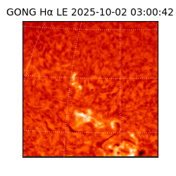 gong - 2025-10-02T03:00:42