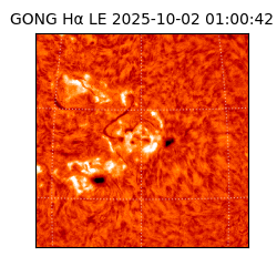 gong - 2025-10-02T01:00:42