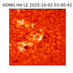 gong - 2025-10-02T03:00:42