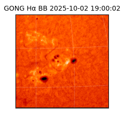 gong - 2025-10-02T19:00:02