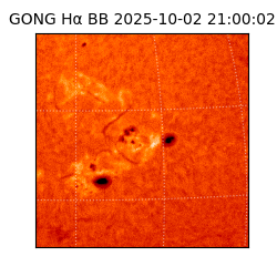 gong - 2025-10-02T21:00:02