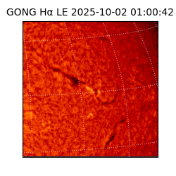 gong - 2025-10-02T01:00:42