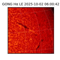 gong - 2025-10-02T06:00:42