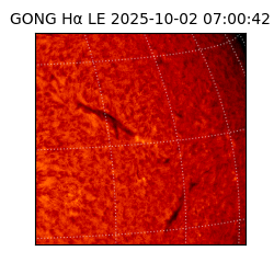 gong - 2025-10-02T07:00:42