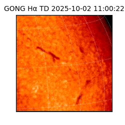 gong - 2025-10-02T11:00:22