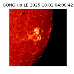 gong - 2025-10-02T04:00:42