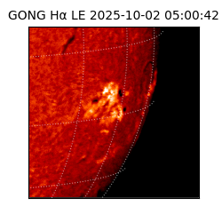 gong - 2025-10-02T05:00:42