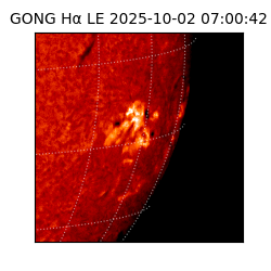 gong - 2025-10-02T07:00:42