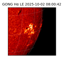 gong - 2025-10-02T08:00:42