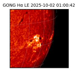 gong - 2025-10-02T01:00:42