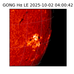gong - 2025-10-02T04:00:42