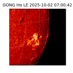 gong - 2025-10-02T07:00:42