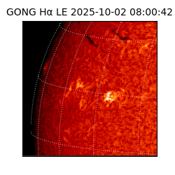 gong - 2025-10-02T08:00:42