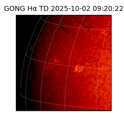 gong - 2025-10-02T09:20:22