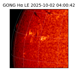 gong - 2025-10-02T04:00:42
