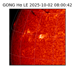 gong - 2025-10-02T08:00:42