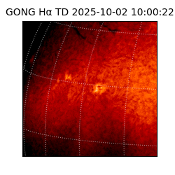 gong - 2025-10-02T10:00:22