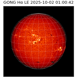 gong - 2025-10-02T01:00:42
