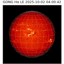 gong - 2025-10-02T04:00:42