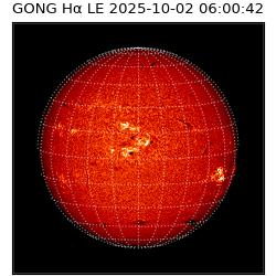 gong - 2025-10-02T06:00:42