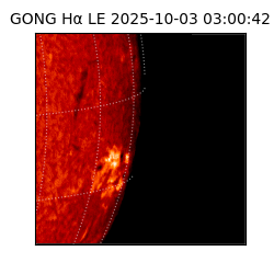 gong - 2025-10-03T03:00:42